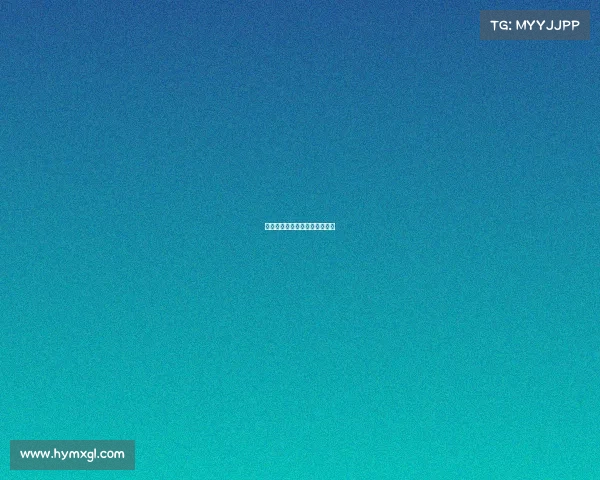 拳击赛事现场执行—拳击表演赛